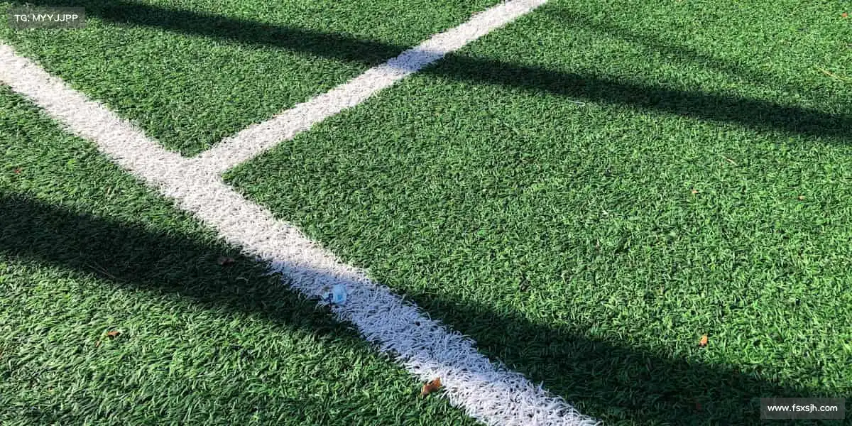 我们的核心竞争力